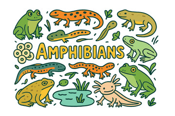 Naklejka premium Colorful Amphibians Doodle. Amphibians. Hand-drawn doodle illustration of amphibians. Frog, salamander, newt,
