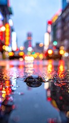 City lights reflected in a puddle after rain