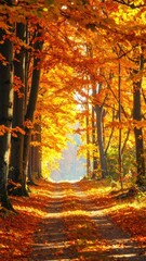 Autumnal forest path bathed in golden sunlight (1)