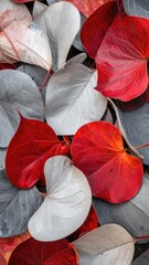 Vibrant fall leaves in shades of red, gray, and white