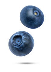 blueberries isolated on white background