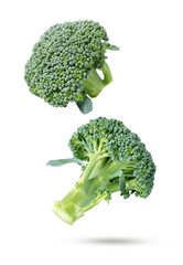broccoli isolated on white background