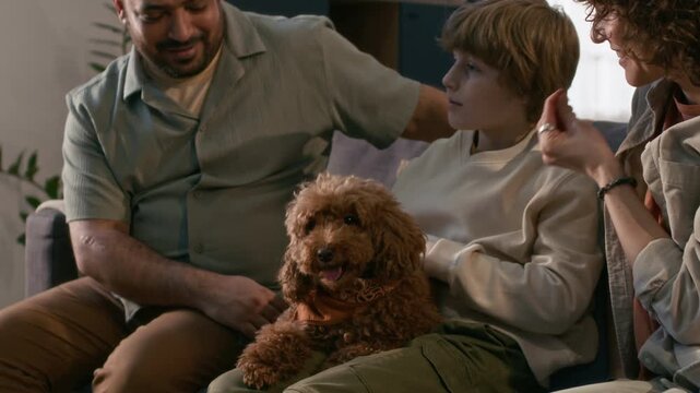 Cheerful multiethnic parents and Caucasian child sitting on couch petting adorable mini poodle resting on boys knees