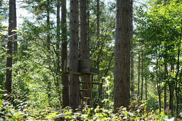 Wooden Hunting Hide in Clipston Woods, Nottinghamshire, England: A Tranquil Countryside Scene
