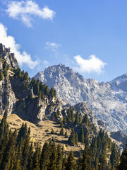 A multifaceted landscape, high mountains in the distance, forested foothills, steppes and meadows in the foreground. Nature of Kakhzakhstan ,beautiful majestic landscape