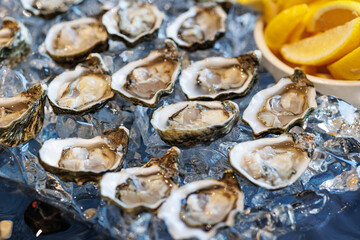 Fresh opened oysters on ice with lemon slices, Delicious fresh oysters served on ice with lemon wedges, ready to eat at seafood restaurant or gourmet buffet display.