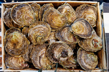 Fresh raw oysters in wooden crate at seafood market, Close-up of fresh raw oysters displayed in a wooden crate at seafood market, showing texture, natural shells, and marine freshness.