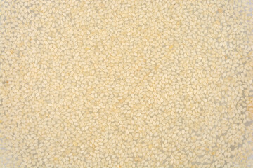 A close-up of white sesame seeds in water, creating a textured background