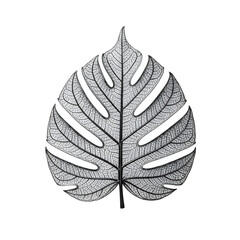Intricate Metallic Leaf Against a Minimalist White Background