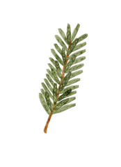 A digital watercolor illustration of a pine branch, ideal for Christmas, winter, or nature-themed designs.
