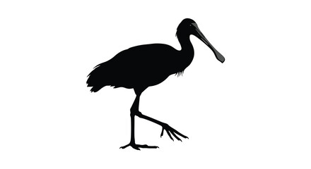 A striking black bird with long legs presented as a silhouette