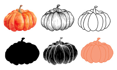 A set of autumn pumpkins in various styles. Vector illustration of the vegetable. Black graphics, hand drawn in doodle style. Berry clipart for farming and harvesting. Thanksgiving, Halloween