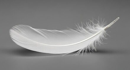 Obraz premium Isolated white feather close up macro photography soft downy plume on gray background