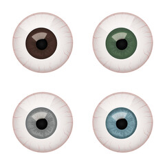 Set of Human Eyeball Anatomy Vector Illustrations. Different Eye Colors