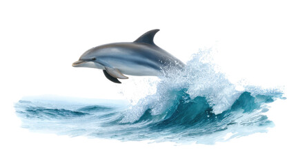 Oceanic Acrobatics: A graceful dolphin leaps playfully from a cresting wave, its sleek form contrasting beautifully against the turquoise water, embodying the pure joy of the sea.