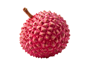 A single, ripe lychee fruit, pinkish-red in color, with a rough, textured rind composed of numerous small, pointed protrusions; a short, brown stem is visible at the top