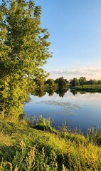 A photo of a lake and blooming grass.