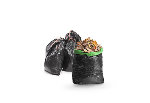 Plastic bags with dry autmn leaves