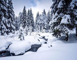 Snowy forest stream