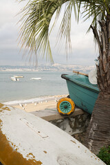 Boat on the waterfront in Trafaria, Portugal, near a palm tree and yellow buoy. Birds on sand, boats on water, and city skyline in the background. Scene conveys rhythm, depth, and maritime character.