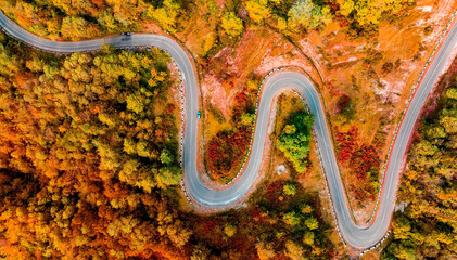 Aerial view of curved road with maple trees  forest on mountain in autumn background
