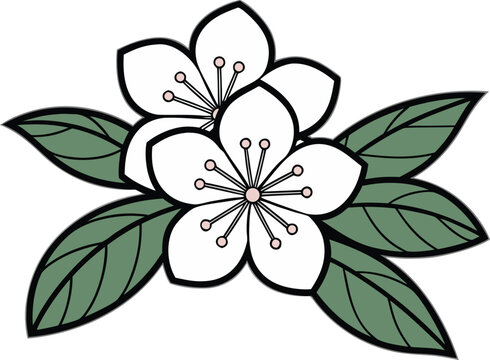 Beautiful Mountain Laurel Illustration. Realistic Mountain Laurel Artwork. Elegant Mountain Laurel Clipart. Colorful Mountain Laurel Floral Design. Botanical  Decorative Mountain Laurel Drawing