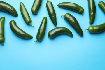 Green jalapeno peppers on light blue background, flat lay. Space for text