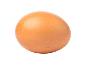 A single, light-brown chicken egg, slightly speckled, shown against a black background.  The egg is smooth and ovate