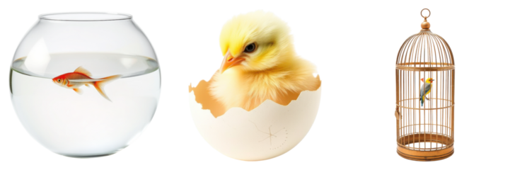 Three different animals in respective enclosures creating whimsical concept, isolated on transparent background