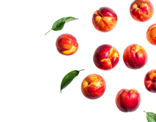 Nectarines scattered on a black background, some with leaves, viewed from above, creating a vibrant, summery composition
