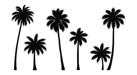 Tropical palm trees against a white background a striking silhouette