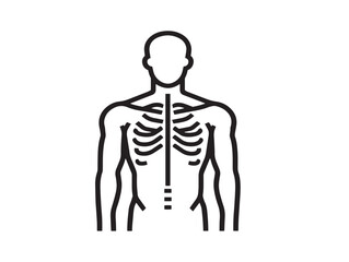 Human Body Icon in Clean Minimal Elegant Vector Line Art