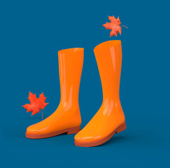 Autumn concept with rain boots and dry autumn leaves