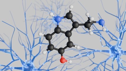 3D illustration of serotonin acts as a neurotransmitter , meaning it's a chemical messenger that transmits signals between neurons across synapses