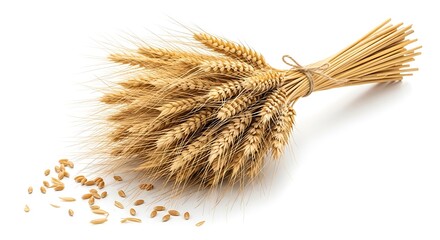 Golden Wheat Sheaf with Scattered Grains Isolated on a White Background