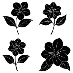 Obraz premium Four black and white floral illustrations featuring flowers with five petals and detailed leaves design art