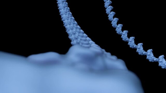 A 3d animation of molecular illustration of RNA or Ribonucleic Acid. It has critical role in the cell for gene expression, where it acts as a messenger, adapter, and structural component