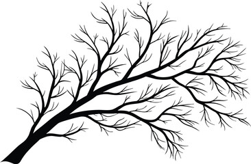 Beautiful Manzanita Illustration. Realistic Manzanita Artwork. Elegant Manzanita Botanical Design. Colorful Manzanita Floral Drawing. Decorative Manzanita Nature Artwork. Detailed Manzanita Plant