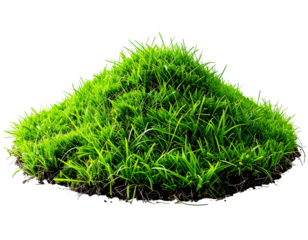 Lush, vibrant green grass mound isolated on black, showing rich texture and soil base; blades varying lengths