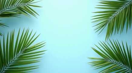 Fototapeta premium Palm leaf frame against a blue background
