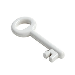White key icon, 3D rendering