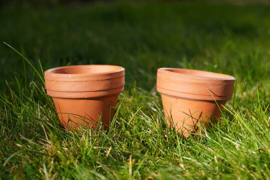 empty clay flower pots on garden lawn ready to be planted. 