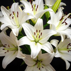 Close-up of white lilies