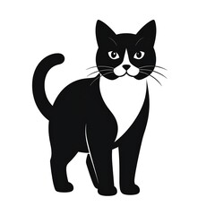 Fototapeta premium Black and white cat silhouette