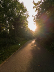 Obraz premium Sun shining through trees on empty paved path in park Letnany Praha 18