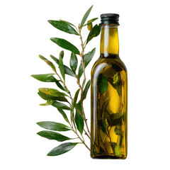 Olive oil bottle with olive branch