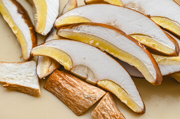 収獲したヤマドリダケモドキ