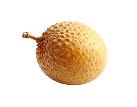 Pale yellow, ovoid fruit with a textured, spiky rind and a short, woody stem