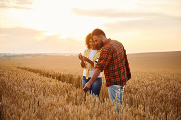Taking a look at wheat piece. Two workers are on the agricultural field together © standret