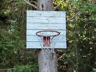 Close-up of weathered basketball hoop on tree with wooden backboard